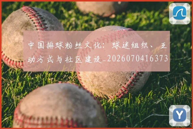 中国排球粉丝文化：球迷组织、互动方式与社区建设_20260704163730