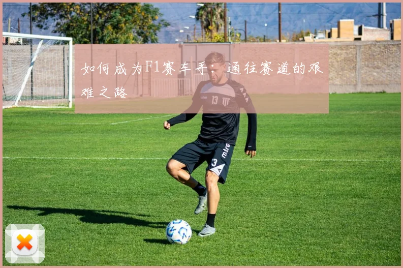 如何成为F1赛车手：通往赛道的艰难之路