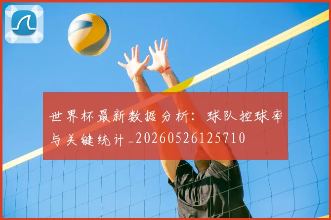 世界杯最新数据分析：球队控球率与关键统计_20260526125710
