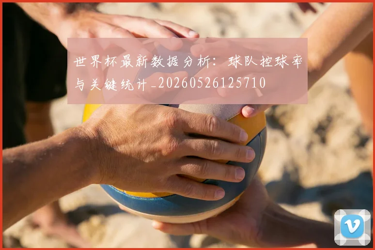 世界杯最新数据分析：球队控球率与关键统计_20260526125710
